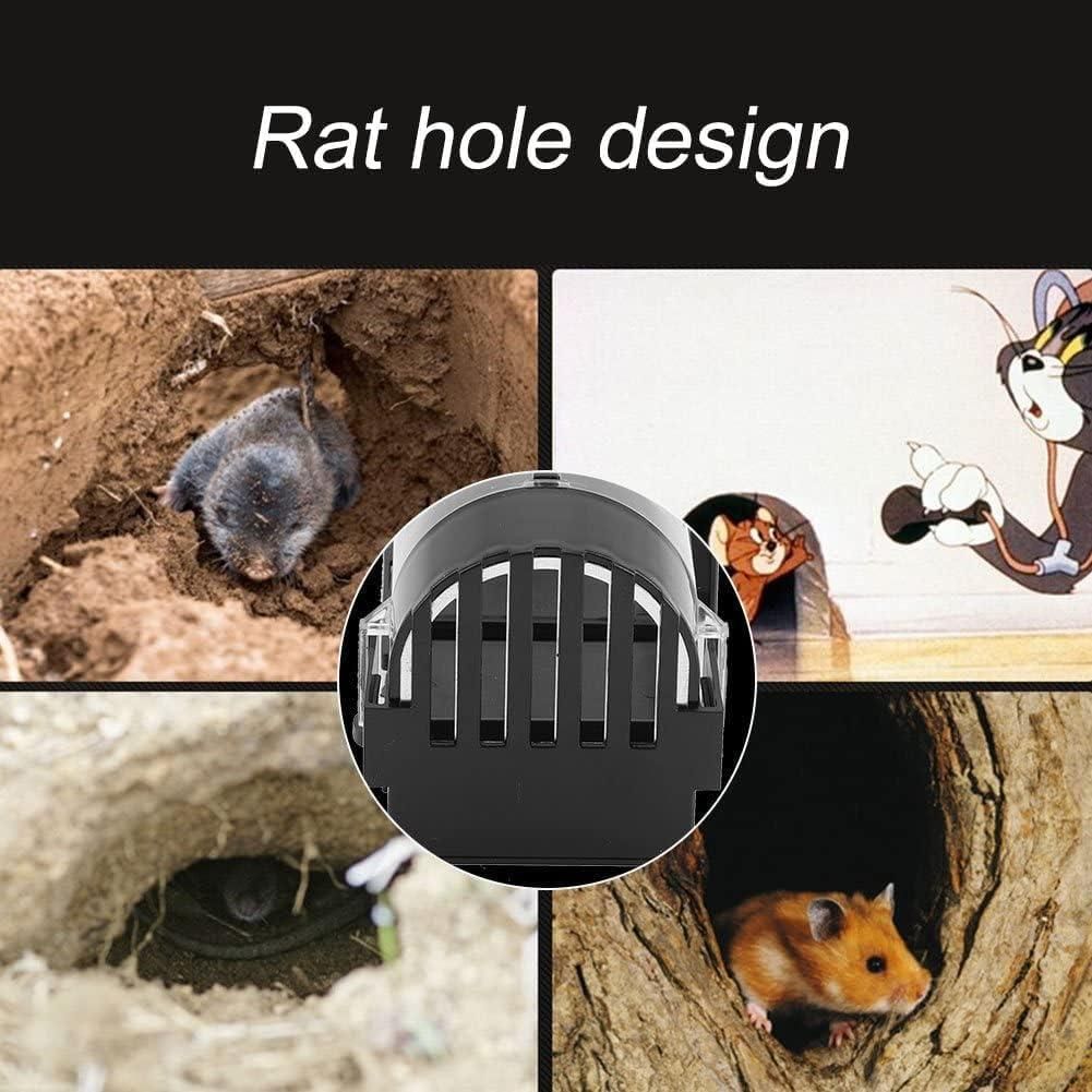 Rat Cage